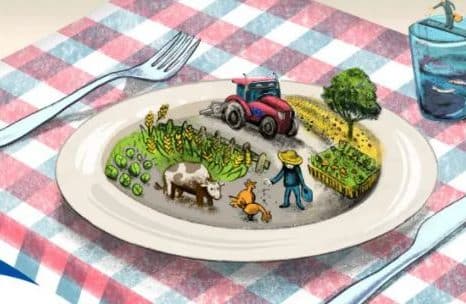 FARM TO FORK