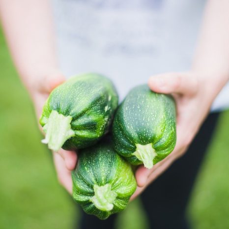 Résilience alimentaire