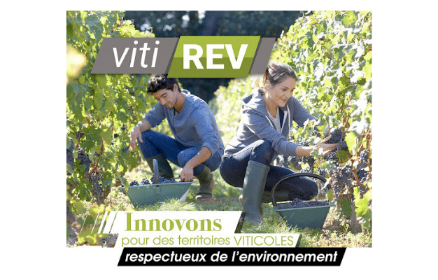 VitiREV-projet-régional