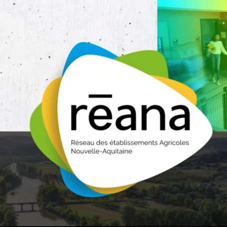 REANA LOGO