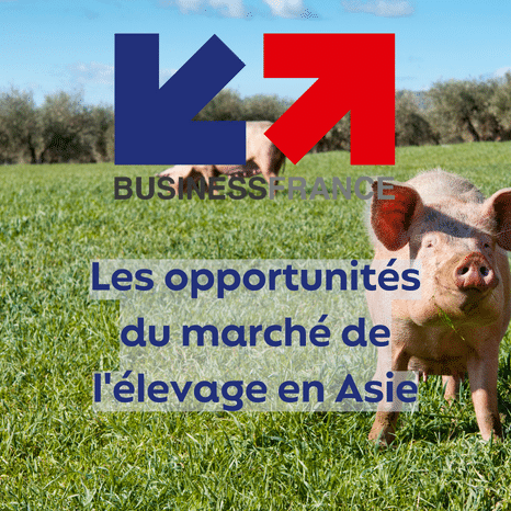 Les opportunités du marché de l'élevage en Asie