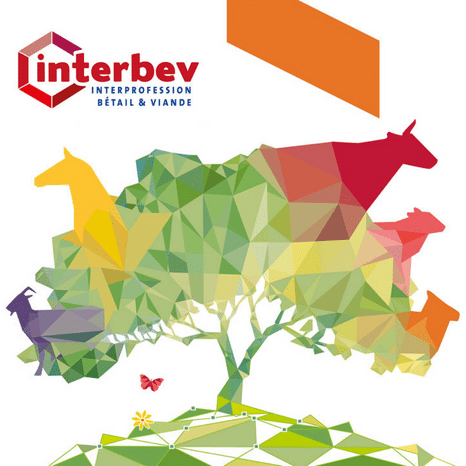 visuel illustration interbev