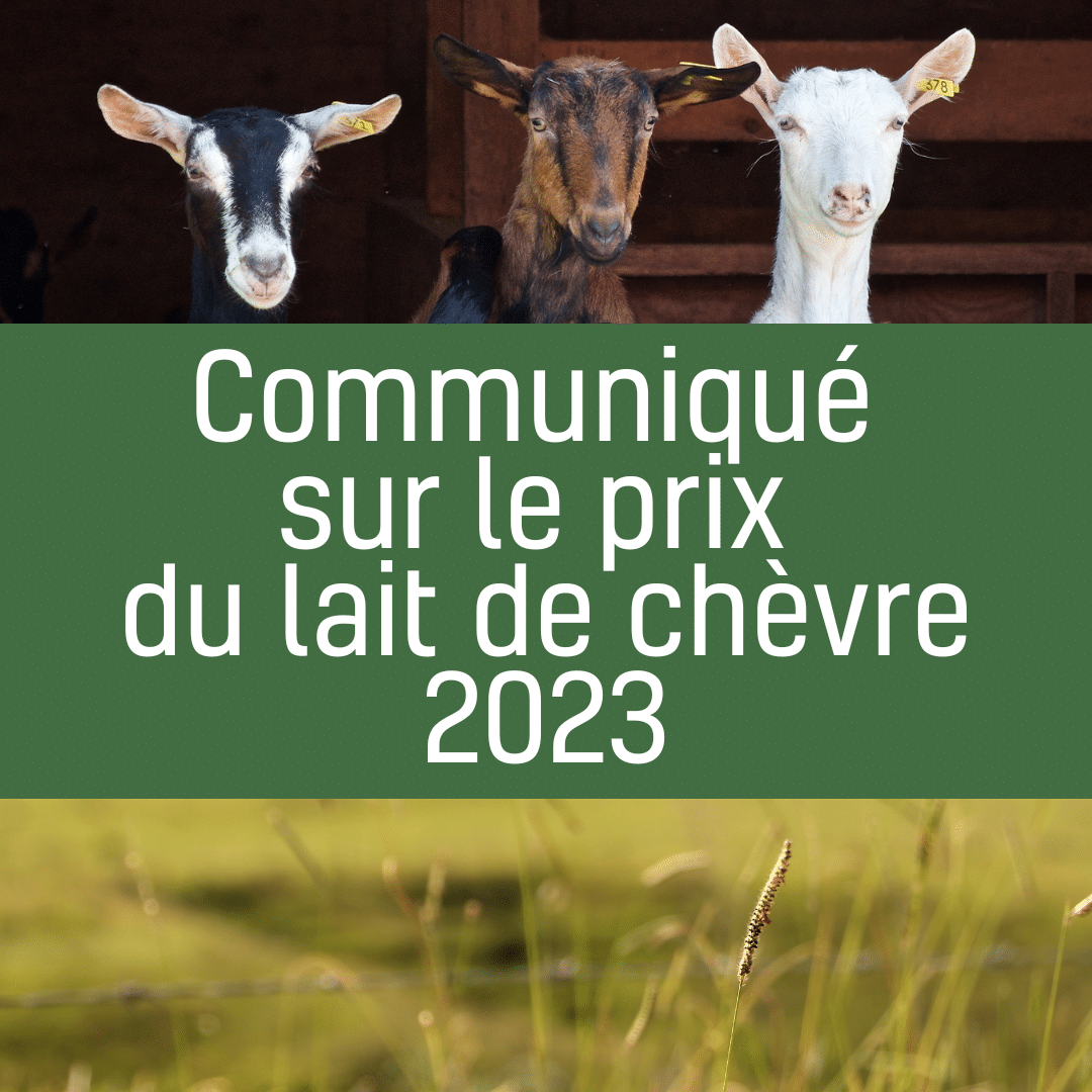 COMMUNIQUE LAIT DE CHEVRE